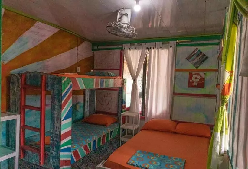 ユースホステル Hostal Liliana