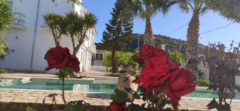 住宿加早餐 5 Elementi