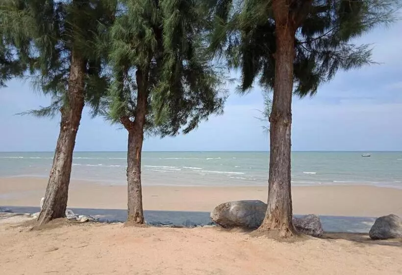 تختخواب و صبحانه Bc Summer Beach