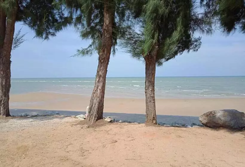 تختخواب و صبحانه Bc Summer Beach