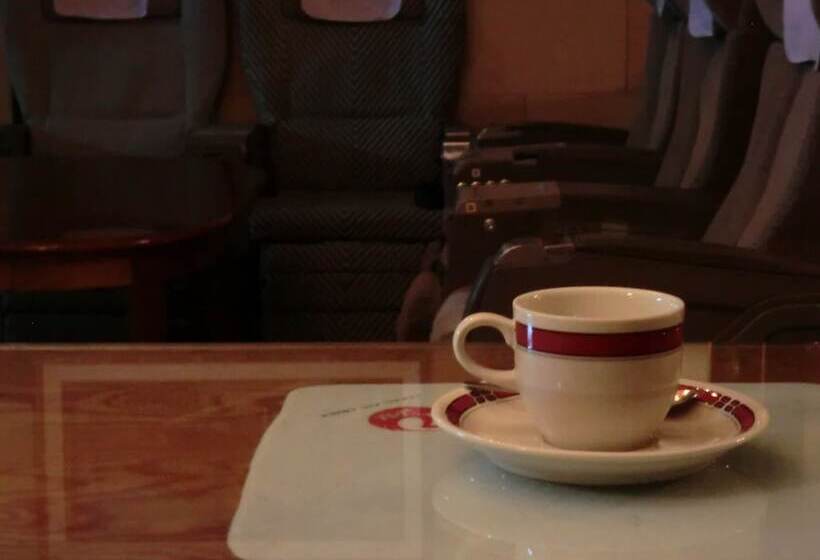 Hotel Daisen White Palace