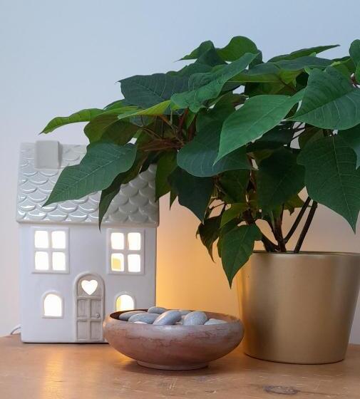 21kr Bed And Breakfast, Close To Beach, Town Centre And Golf