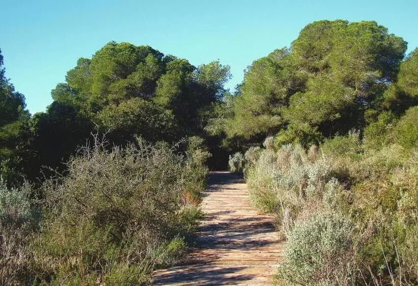 Albufera Dreams Nature Suites