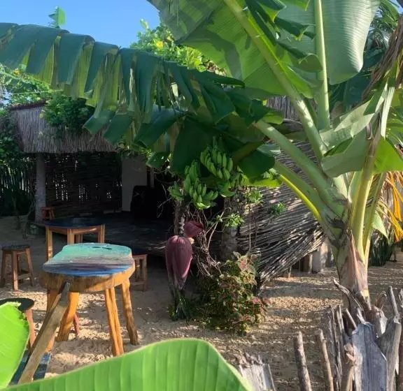 Bed and Breakfast Chalé Lua