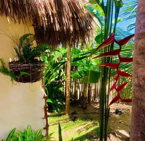 Bed and Breakfast Chalé Lua