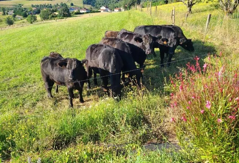 ベッドアンドブレックファースト Le Qg Chez Flo Et David