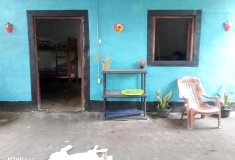 هتل کپسول Mamacita Café House