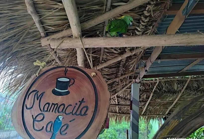 カプセルホテル Mamacita Café House