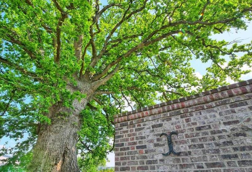 צימר L Escale Arc En Ciel