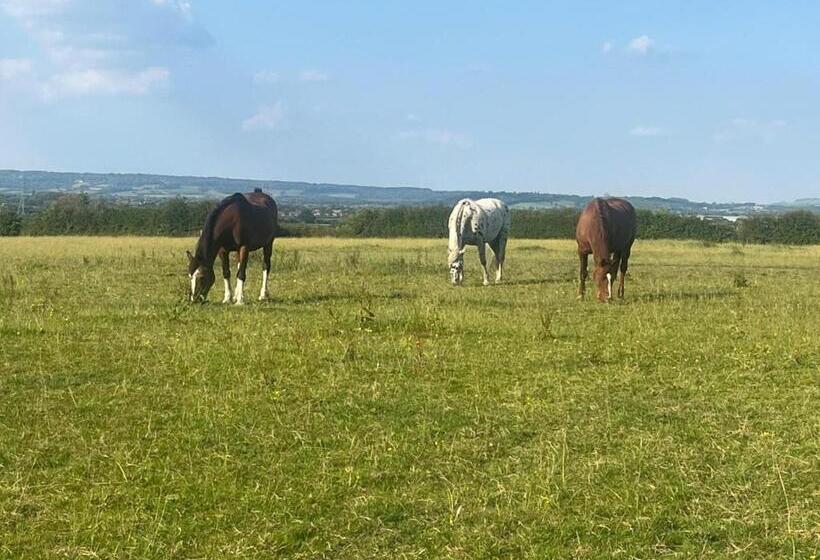 캡슐 호텔 Maylands Farm Glamping Pod