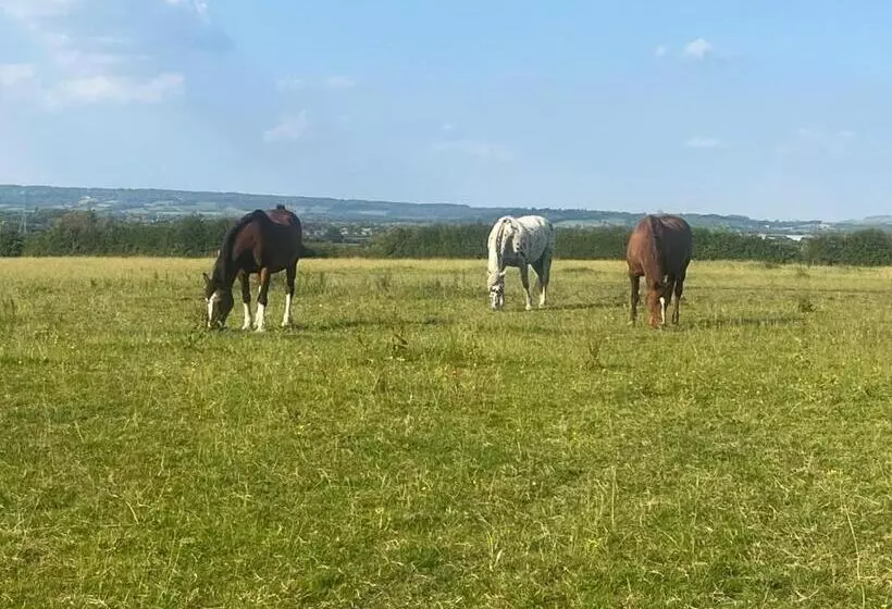 Kapselihotelli Maylands Farm Glamping Pod