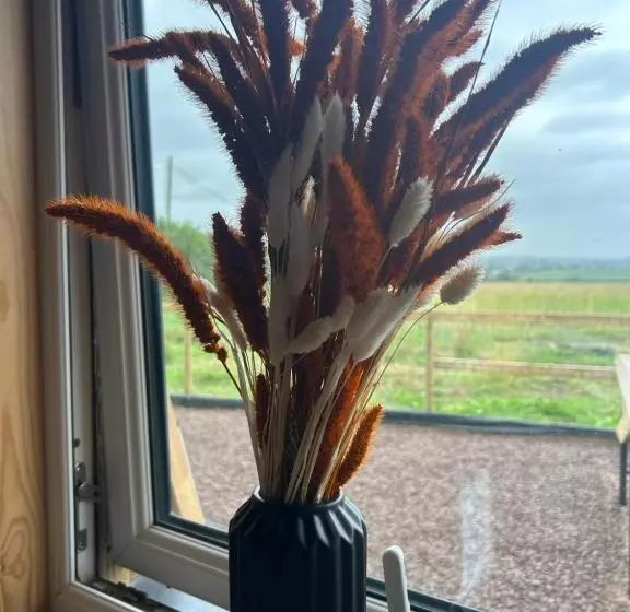 Kapselihotelli Maylands Farm Glamping Pod