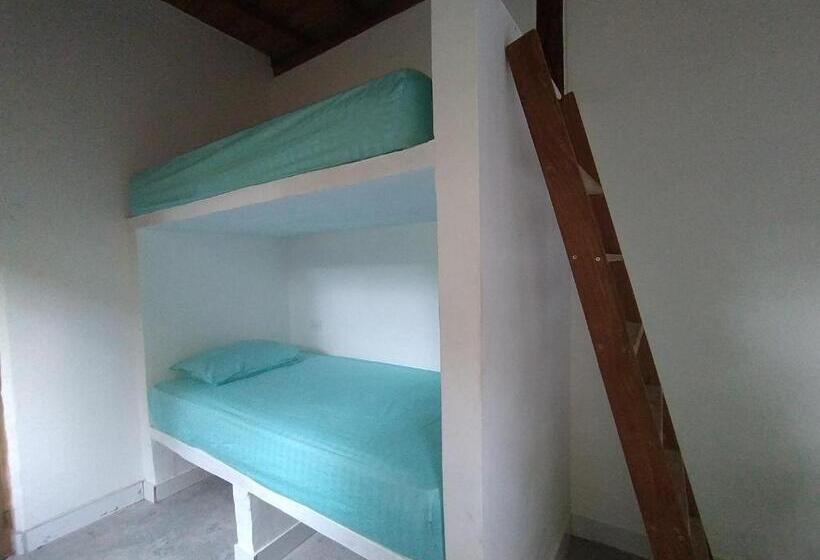 הוסטל Eden Garden