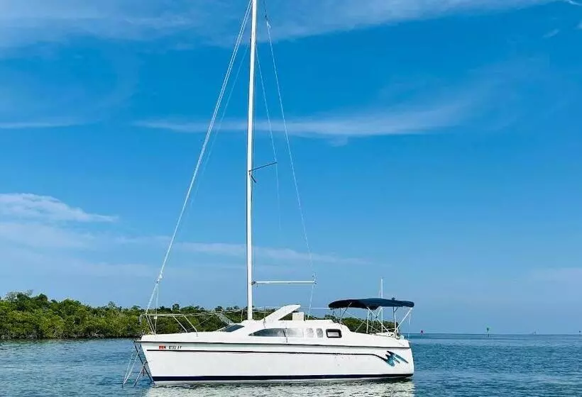 ユースホステル Private Sail Boat On The Beautiful Waters Of Key West