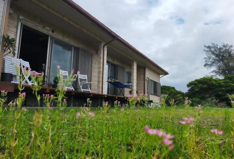 پانسیون 奄美ゲストハウス宇宿サンライズビーチ