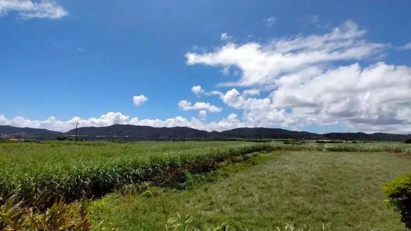 Majatalo 奄美ゲストハウス宇宿サンライズビーチ