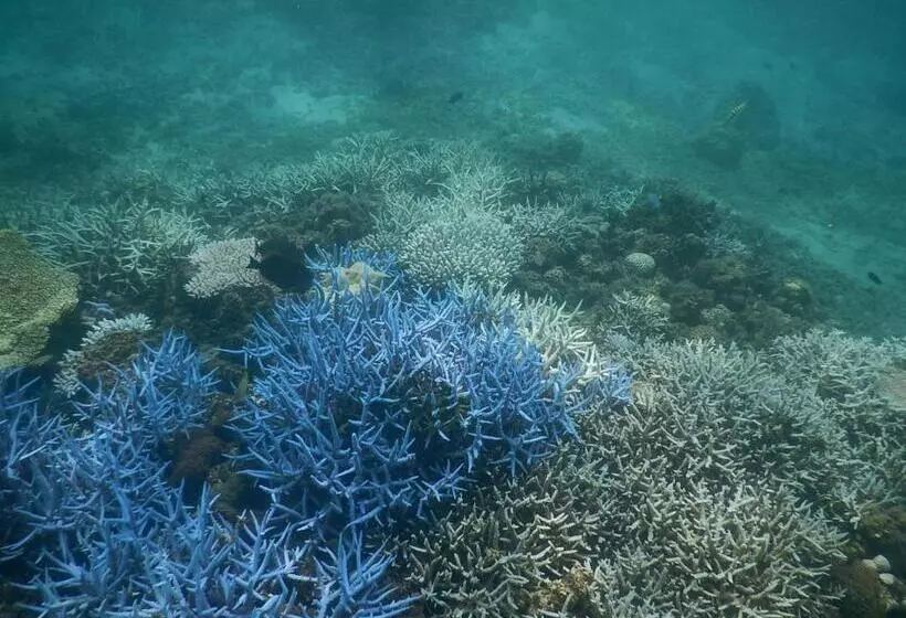 Majatalo 奄美ゲストハウス宇宿サンライズビーチ