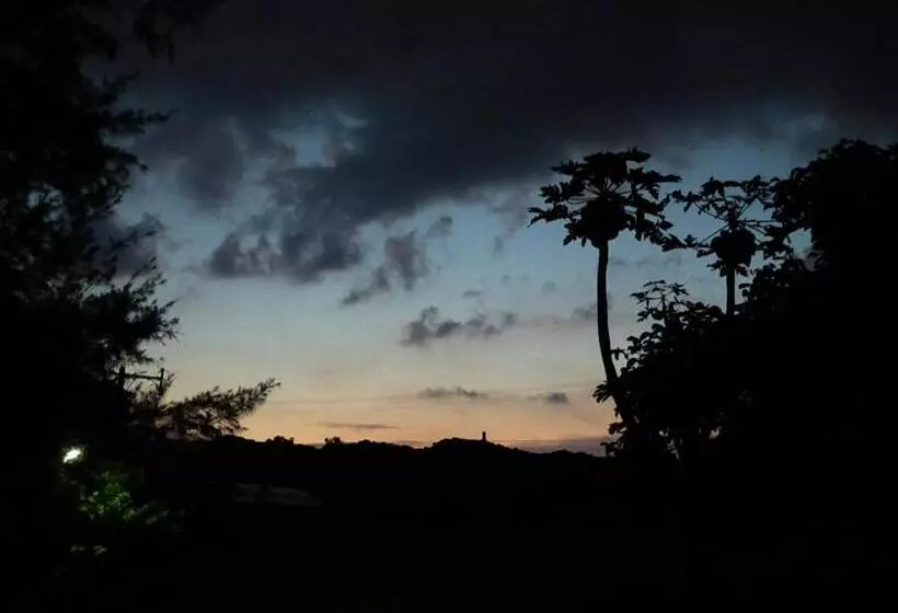 Majatalo 奄美ゲストハウス宇宿サンライズビーチ