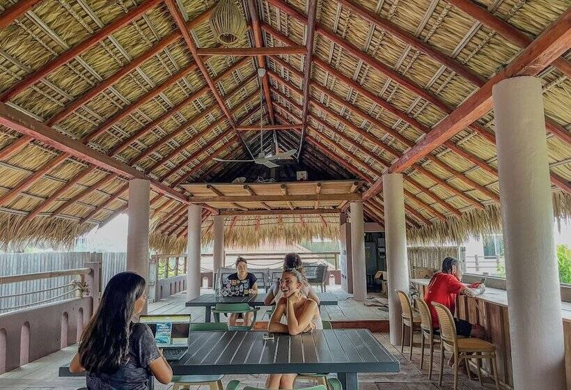ペンション Viajero Puerto Escondido Hostel