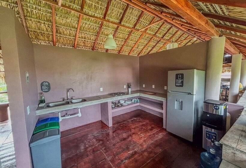 ペンション Viajero Puerto Escondido Hostel
