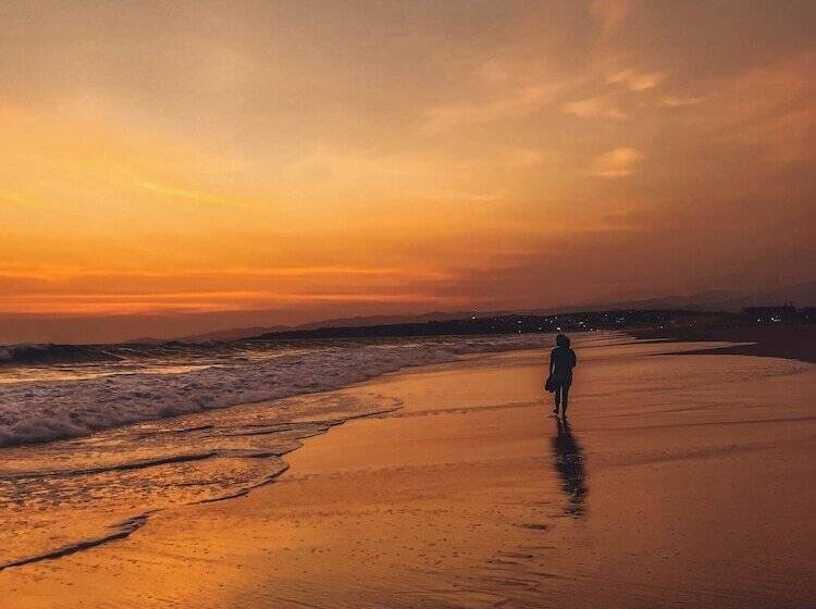 ペンション Viajero Puerto Escondido Hostel