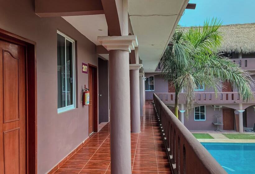 ペンション Viajero Puerto Escondido Hostel