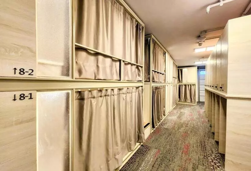 Just Live Hostel