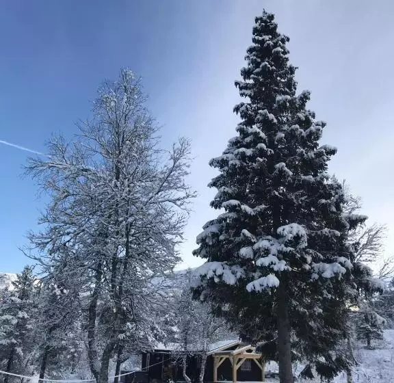 ペンション Kårdal Fjellstove