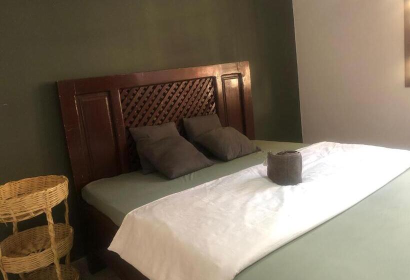 住宿加早餐  Saza Adventures