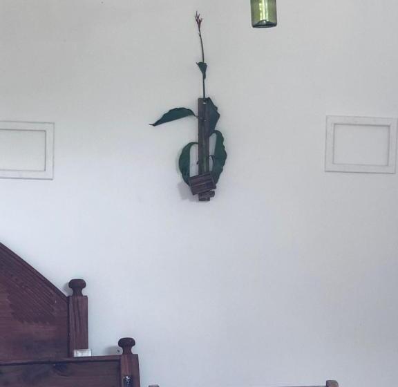 住宿加早餐  Saza Adventures