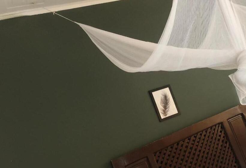 住宿加早餐  Saza Adventures