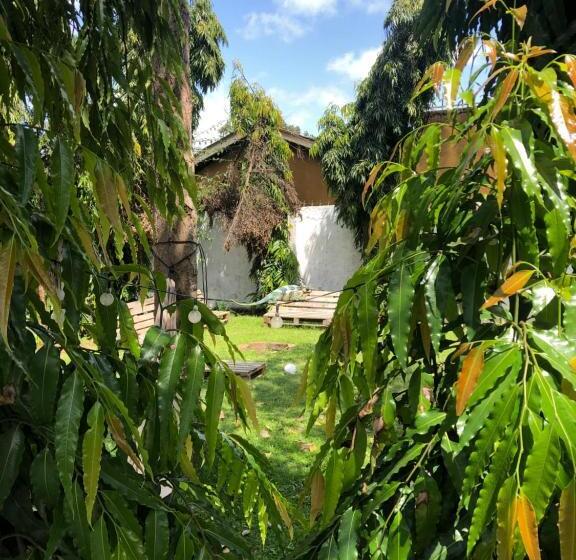 住宿加早餐  Saza Adventures