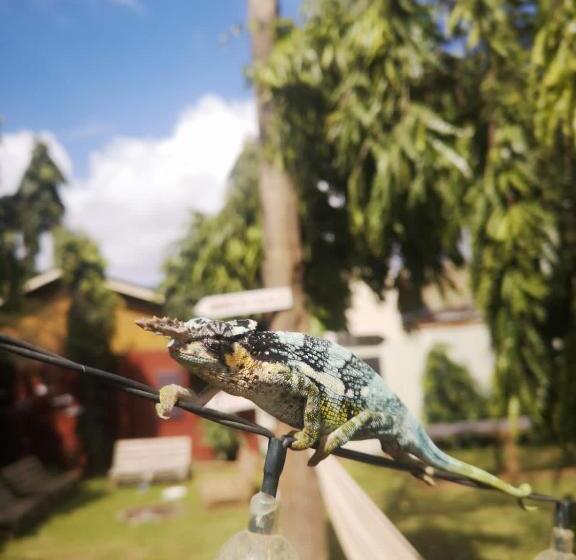 住宿加早餐  Saza Adventures