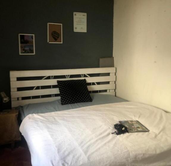 住宿加早餐  Saza Adventures