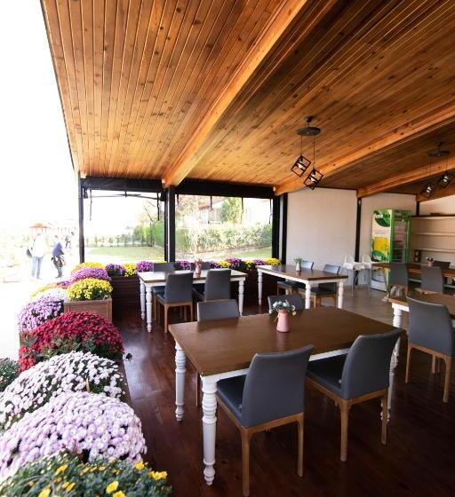 Villa Nora Butik Otel Ve Bungalov