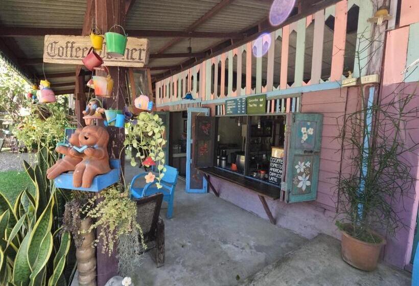 บ้านไม้คนเมือง Baan Mai Kon Muang Pai Resort