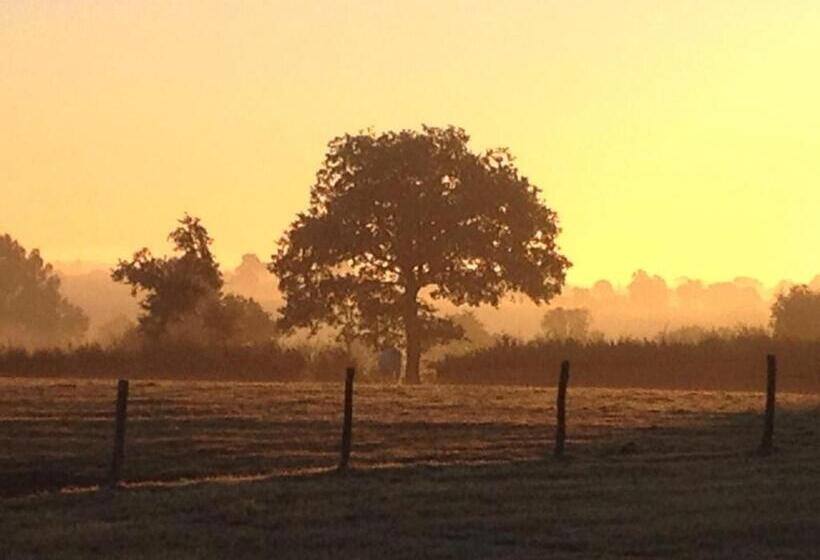 B&b Chambres D Hotes Chez Juredieu