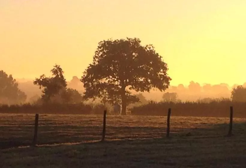 B&b Chambres D Hotes Chez Juredieu