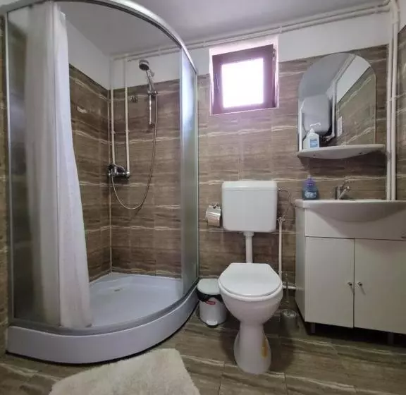 Pensiunea Casa Madalina