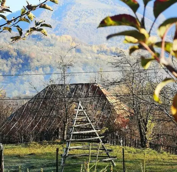 Pensiunea Casa Madalina