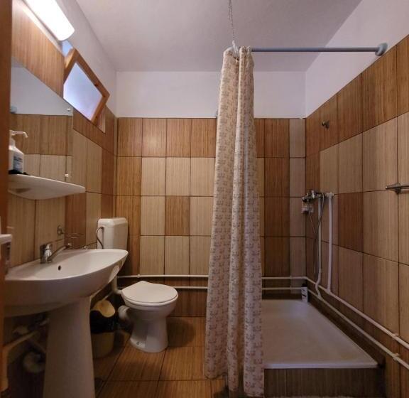 Pensiunea Casa Madalina