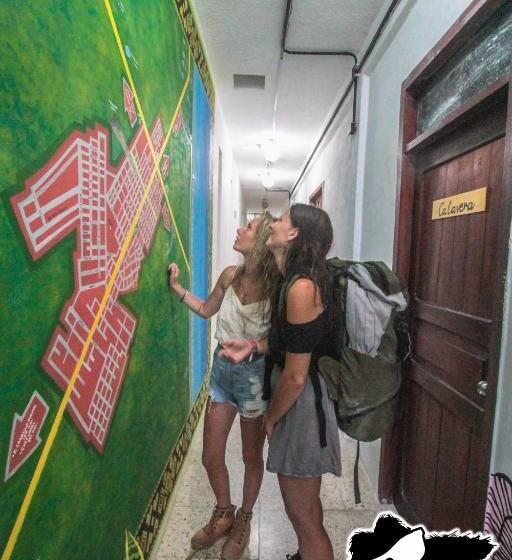 Straw Hat Hostel & Rooftop Bar