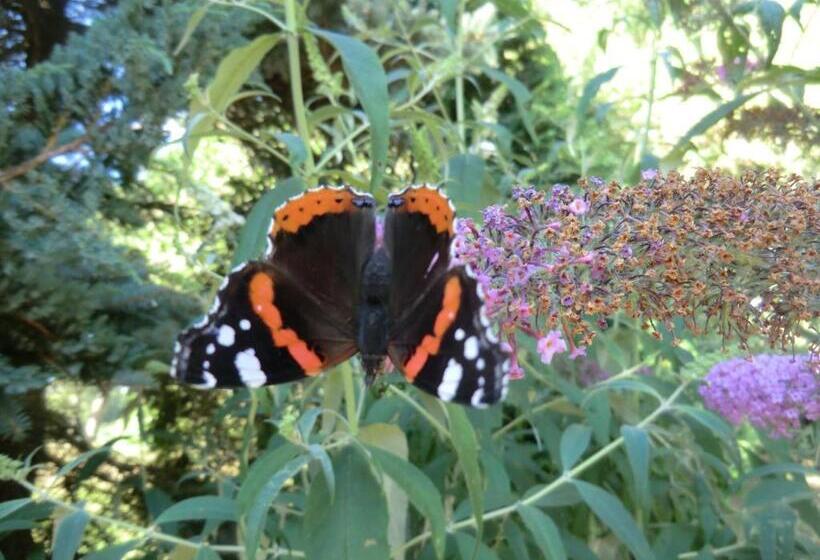 مبيت وإفطار De Kruik