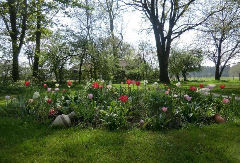 مبيت وإفطار De Kruik