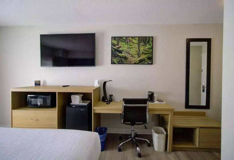 Hotelli Baymont By Wyndham Gold River