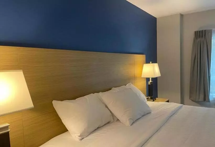 Hotelli Baymont By Wyndham Gold River