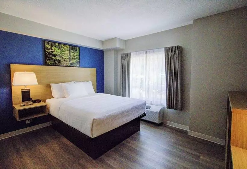 Hotelli Baymont By Wyndham Gold River