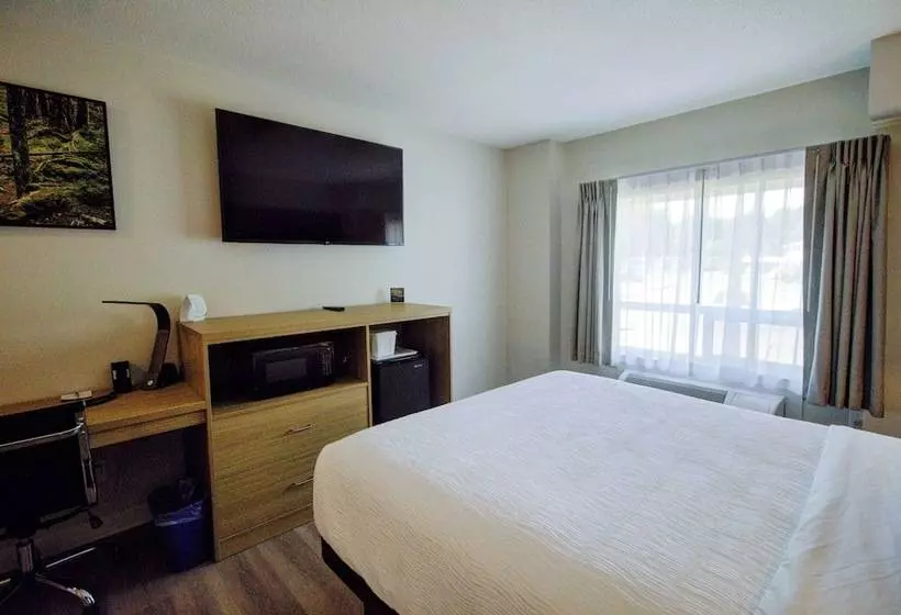 Hotelli Baymont By Wyndham Gold River