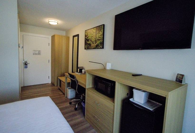 호텔 Baymont By Wyndham Gold River