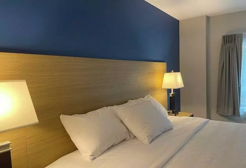 Hotelli Baymont By Wyndham Gold River